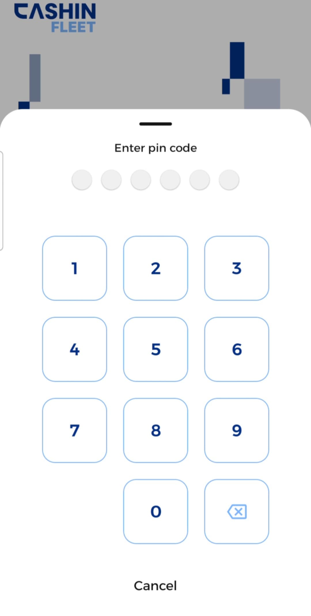 Set Your PIN